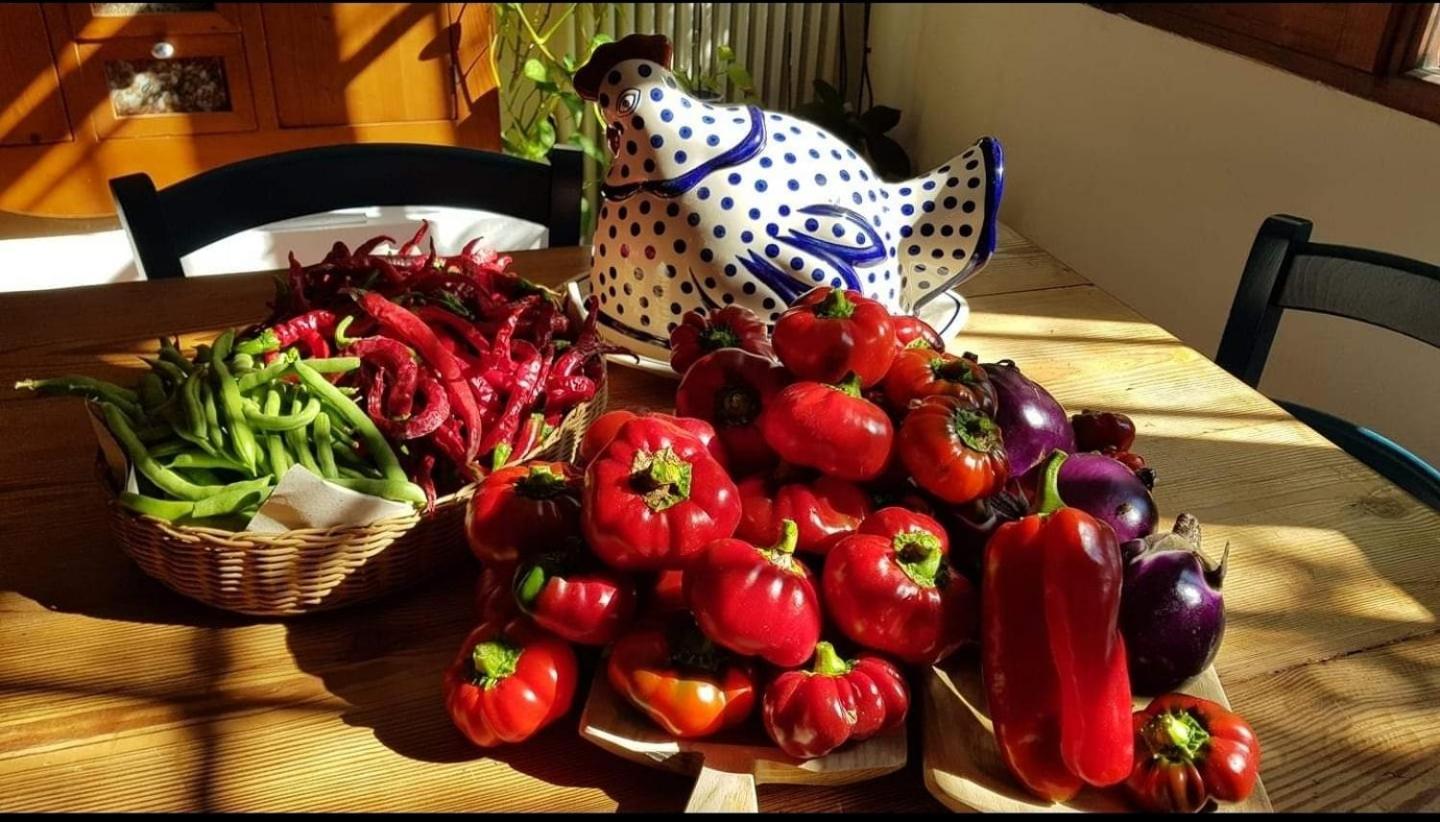 Апартаменти Il Giardino Di Frafa Куарту-Сант'Елена Екстер'єр фото