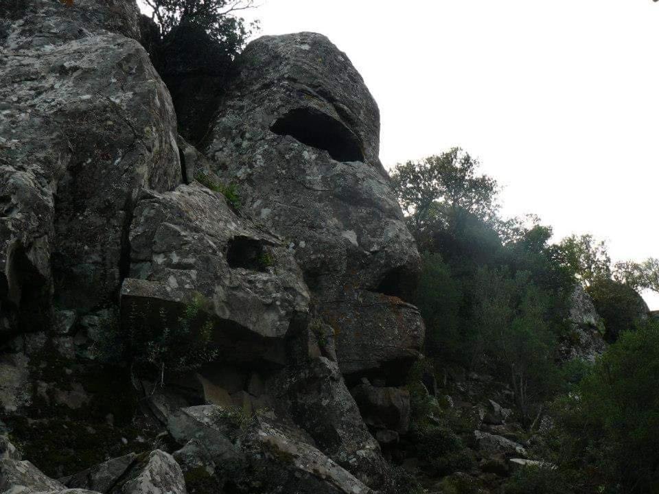 Апартаменти Il Giardino Di Frafa Куарту-Сант'Елена Екстер'єр фото